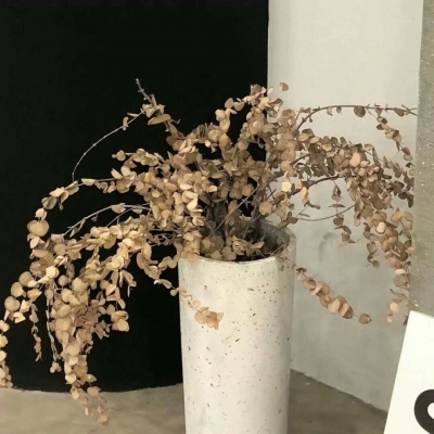 Furry绘画改稿灵感FurryQQ群